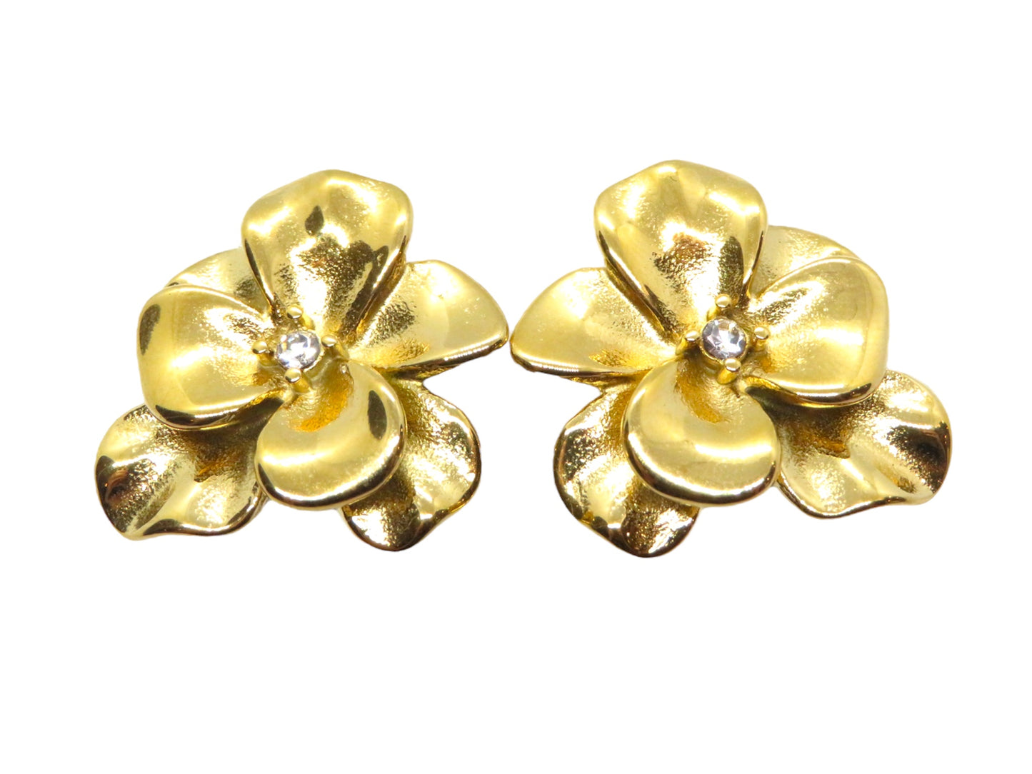 Vanessa earrings- Aretes