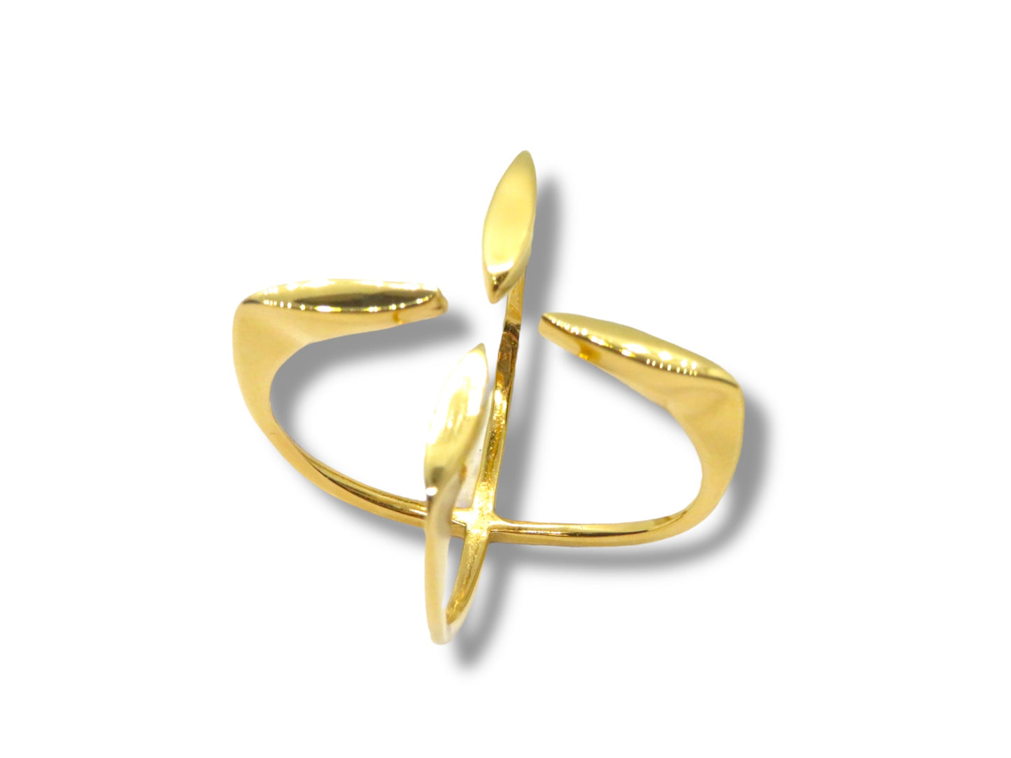 Eternity ring -Anillo