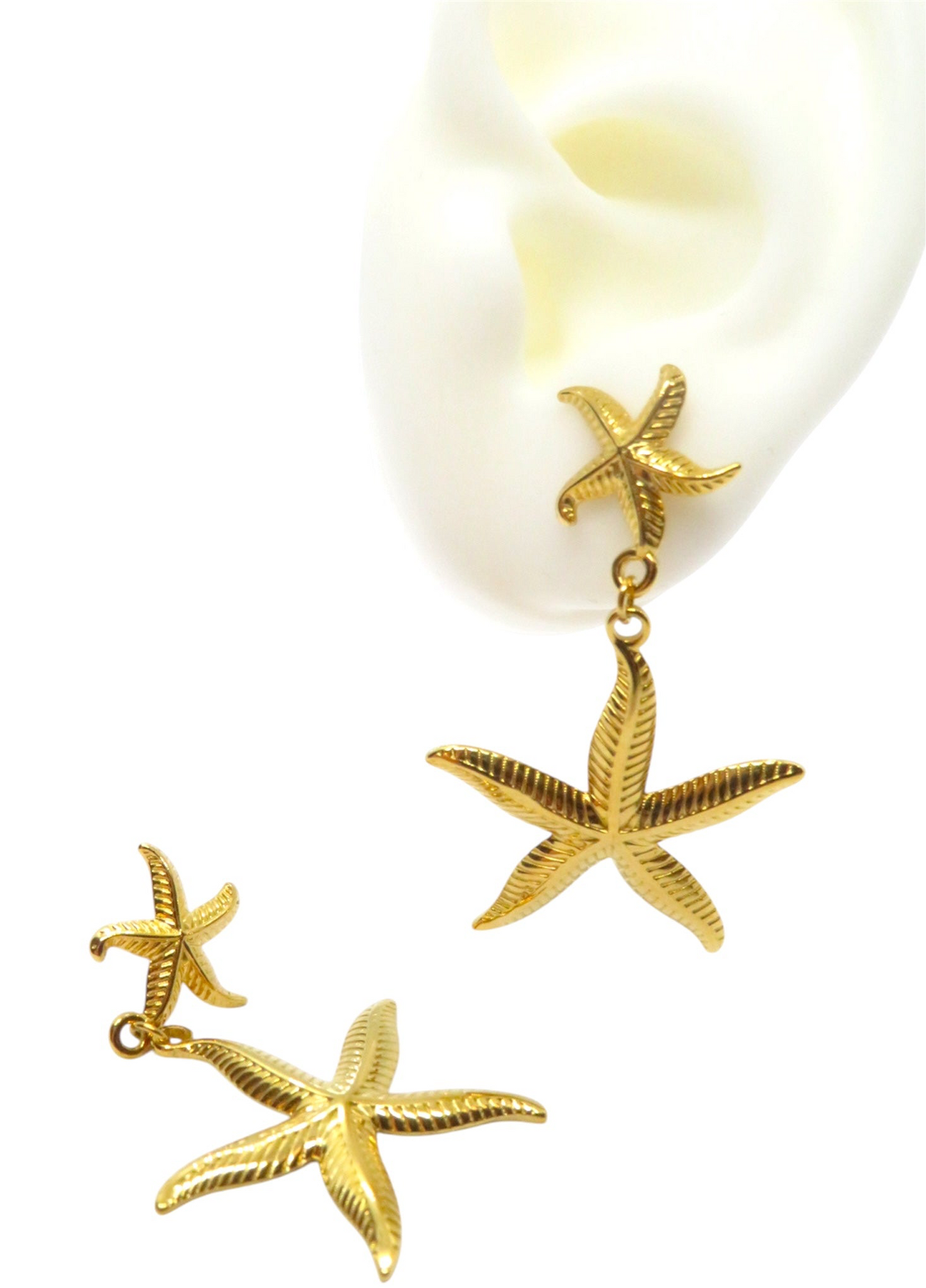 Sea star - Estella de mar