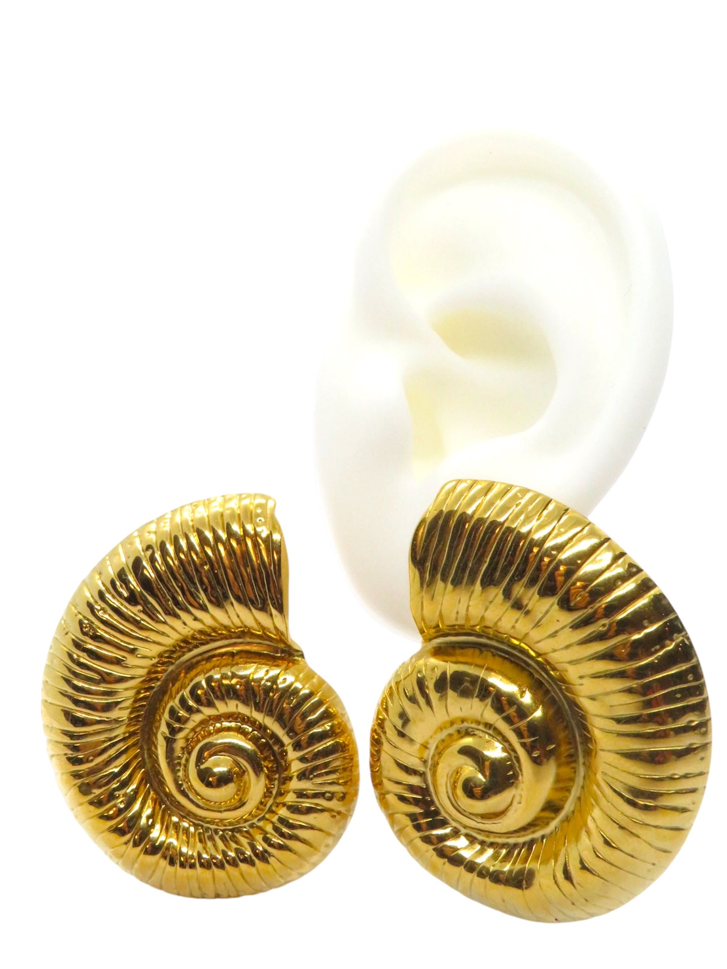 Caracola earrings-Aretes