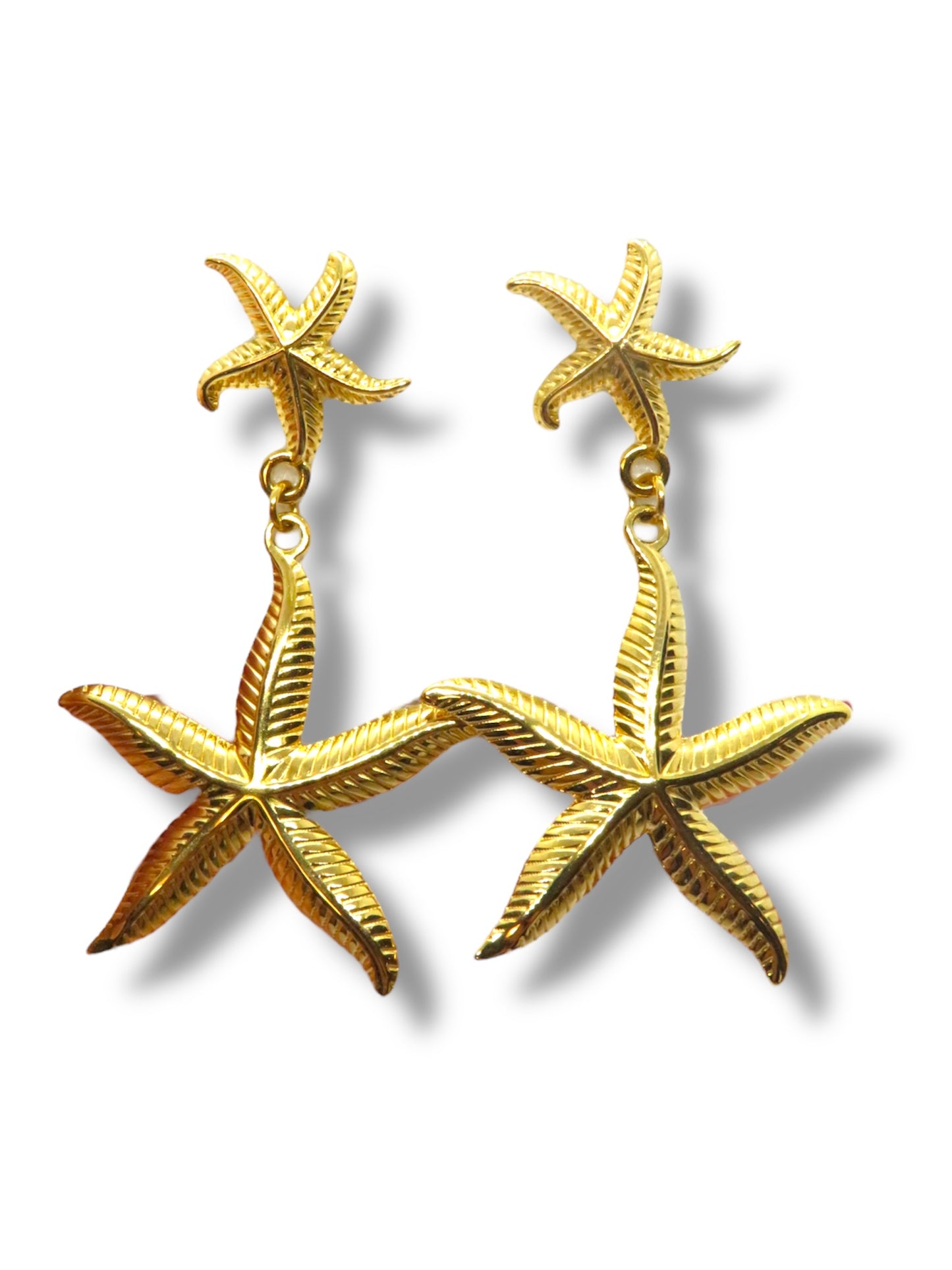 Sea star - Estella de mar