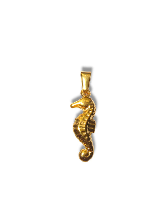 Sea horse