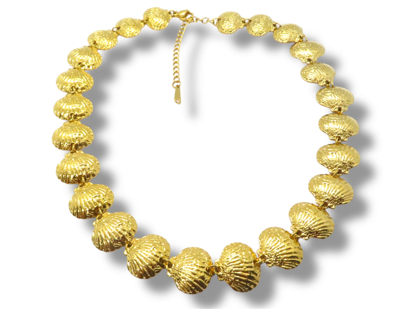Shell choker- Gargantilla conchas