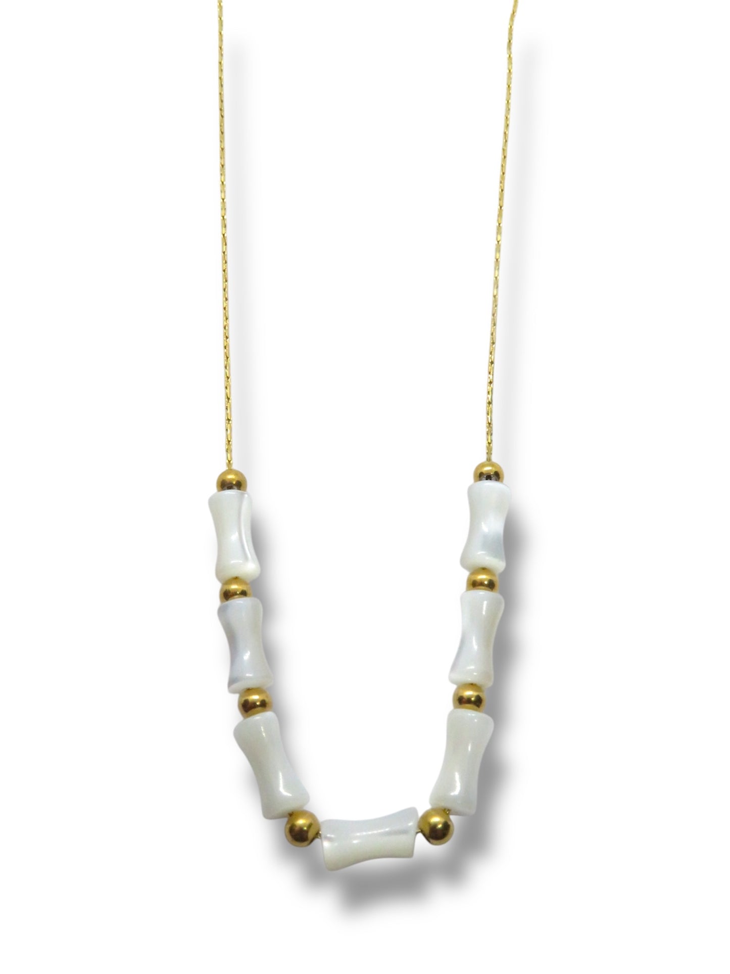 Bone necklace- Cadena