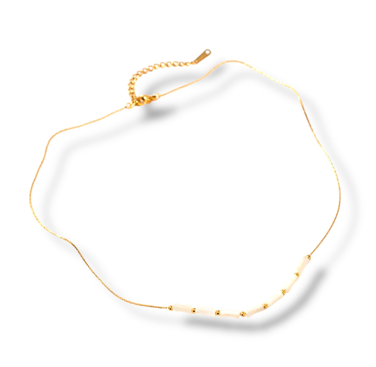 Bone necklace- Cadena