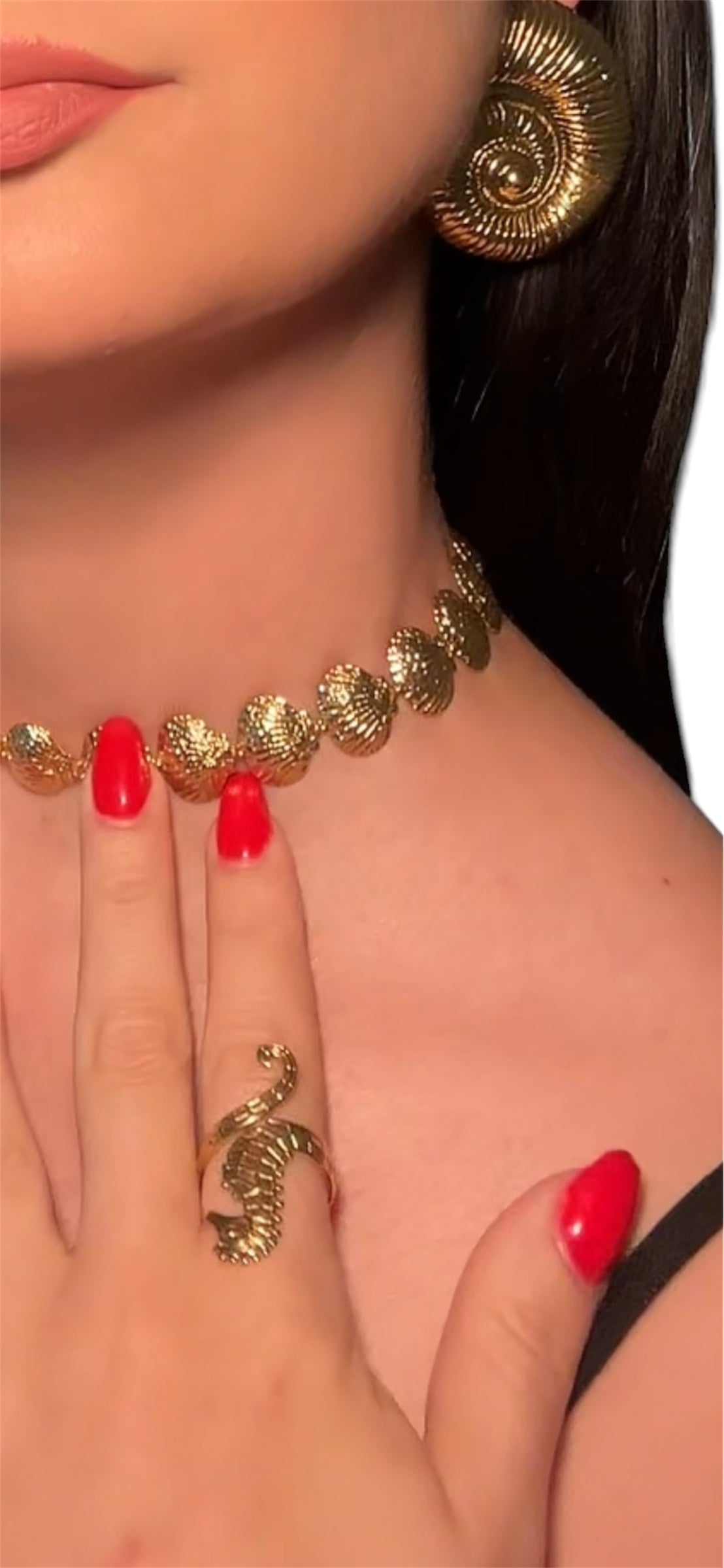 Shell choker- Gargantilla conchas